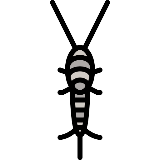 Silverfish icon