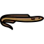 Moray icon 64x64