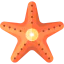 Starfish icon 64x64
