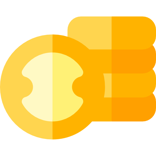 Money icon