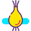 Onion icon 64x64