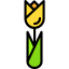 Tulip icon 64x64