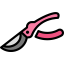 Pruner 图标 64x64