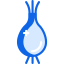 Onion icon 64x64
