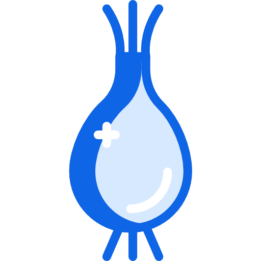 Onion icon