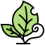 Leaf icon 64x64
