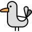 Seagull icon 64x64