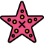 Starfish icon 64x64