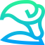 Calla lily icon 64x64