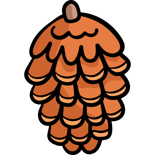 Pine cone icon