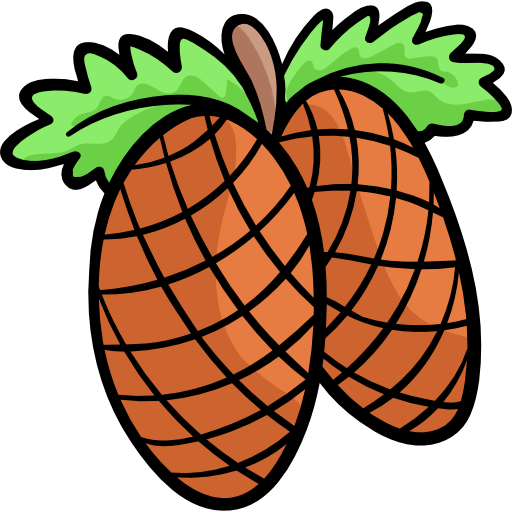 Pine cones icon