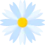 Chamomile icon 64x64