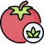 Tomato icon 64x64