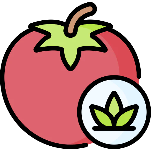 Tomato icon