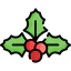 Mistletoe icon 64x64