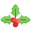 Mistletoe 图标 64x64
