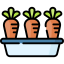Carrot icon 64x64