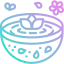 Spa icon 64x64