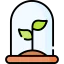 Sprout icon 64x64