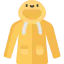 Raincoat icon 64x64