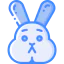 Bunny icon 64x64
