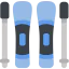 Skis icon 64x64