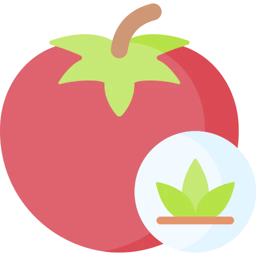Tomato icon