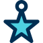 Christmas star icon 64x64