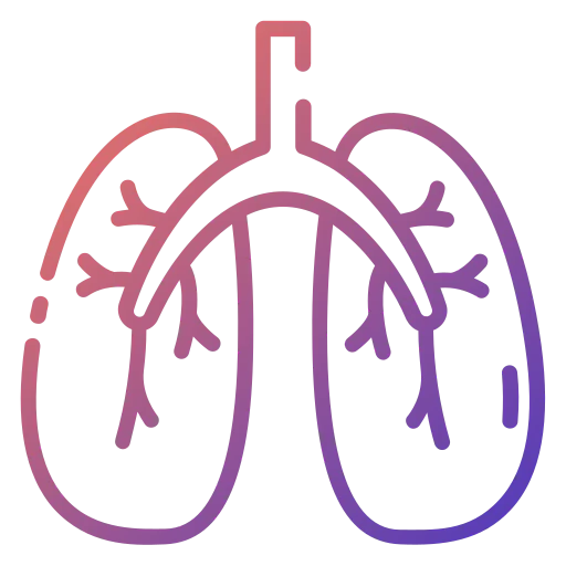 Lung icon