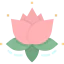 Lotus flower icon 64x64