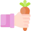 Harvest icon 64x64