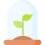Sprout icon 64x64