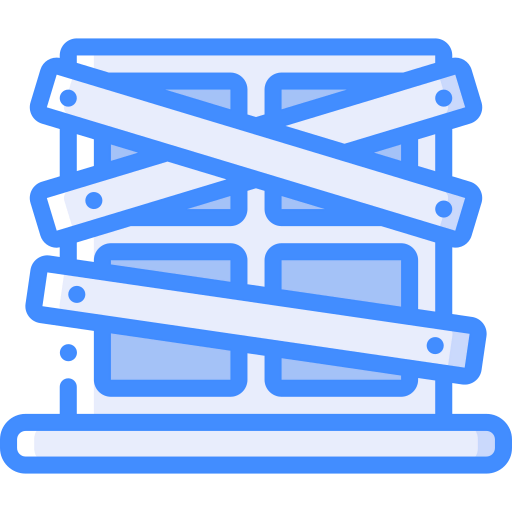 Window icon