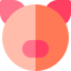 Pig icon 64x64