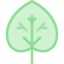 Leaf icon 64x64