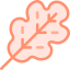 Leaf icon 64x64