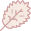 Leaf icon 64x64