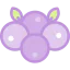 Grapes icon 64x64