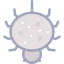 Spider icon 64x64