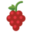Grapes icon 64x64