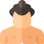 Sumo アイコン 64x64