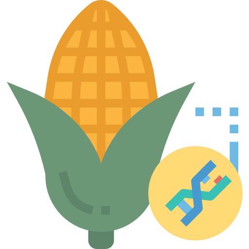 Gmo icon