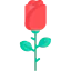 Rose icon 64x64