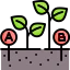 Growth icon 64x64