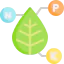 NPK icon 64x64