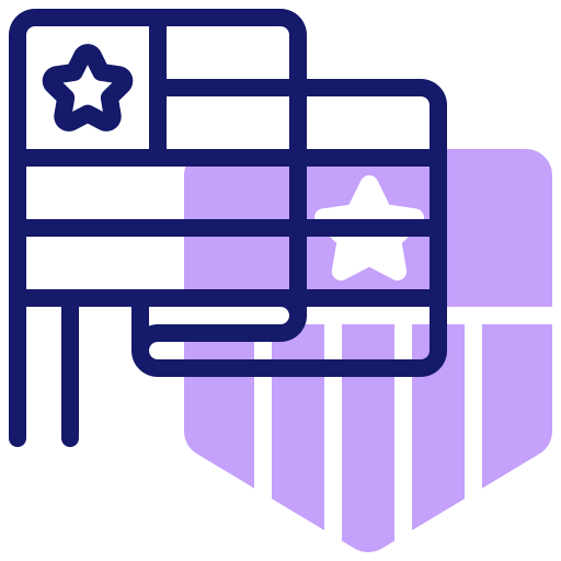 Flags icon