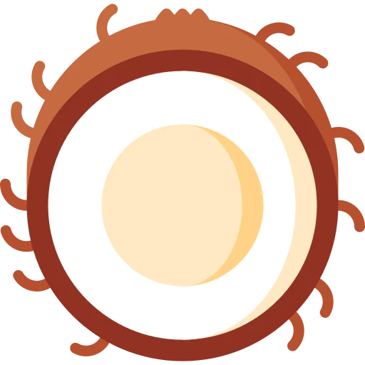 Coconut icon