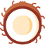 Coconut icon 64x64