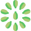 Cardamom icon 64x64