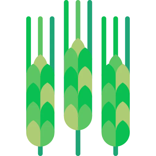 Barley icon